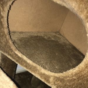 I no longer have my cat. I had to put her down.